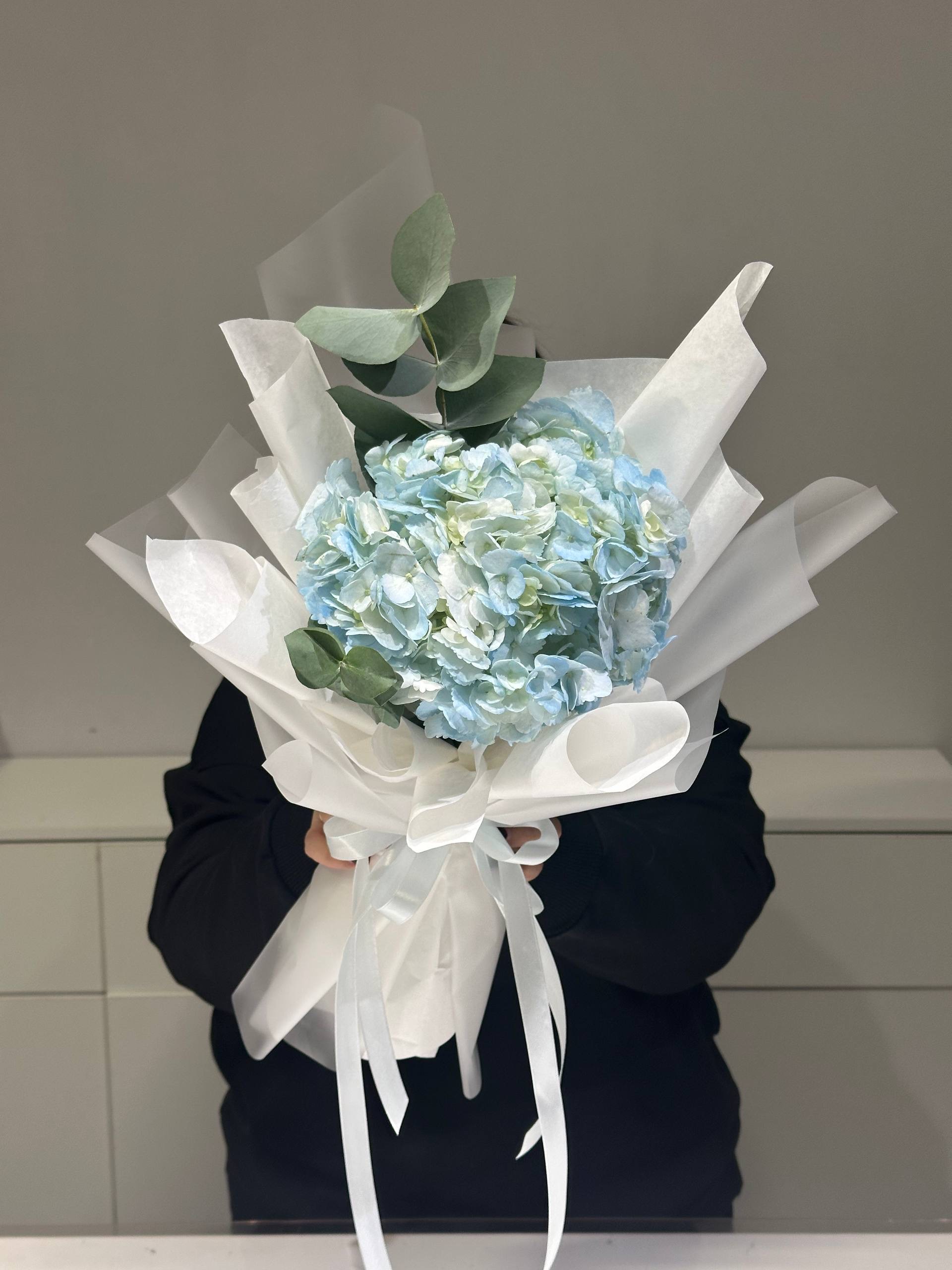 Изображение — img 5908 Img 5908