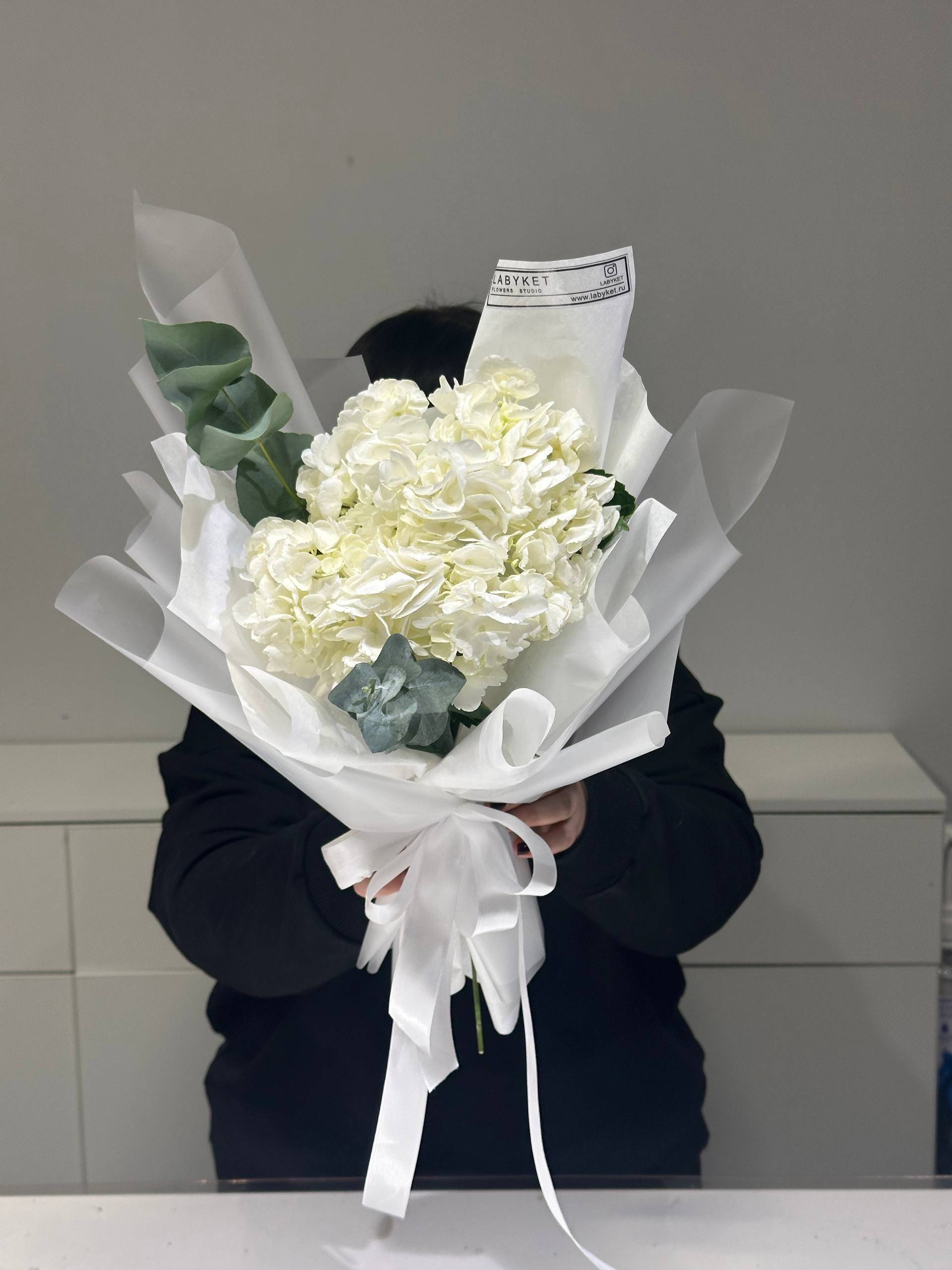 Изображение — img 5910 Img 5910