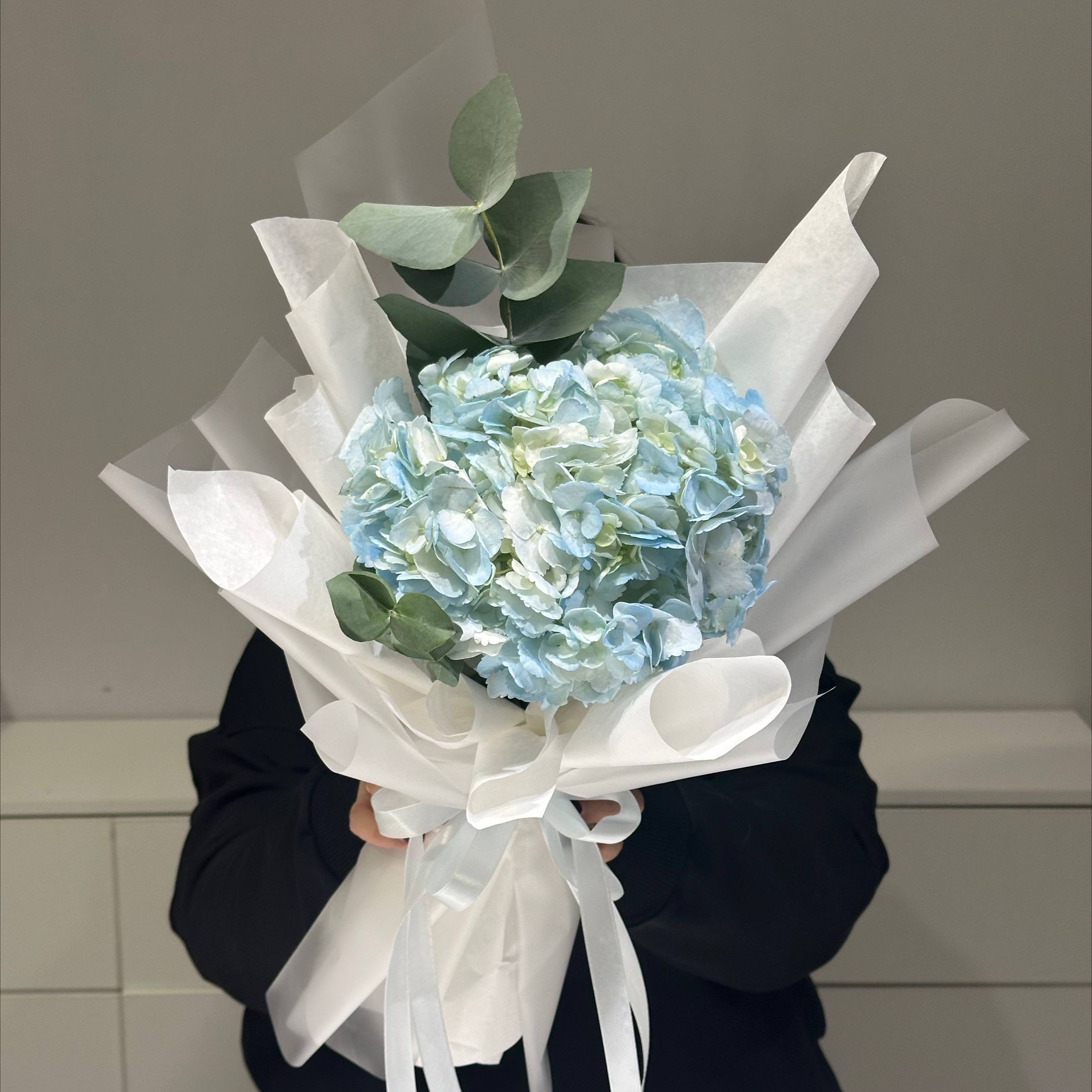 Изображение — img 5913 Img 5913