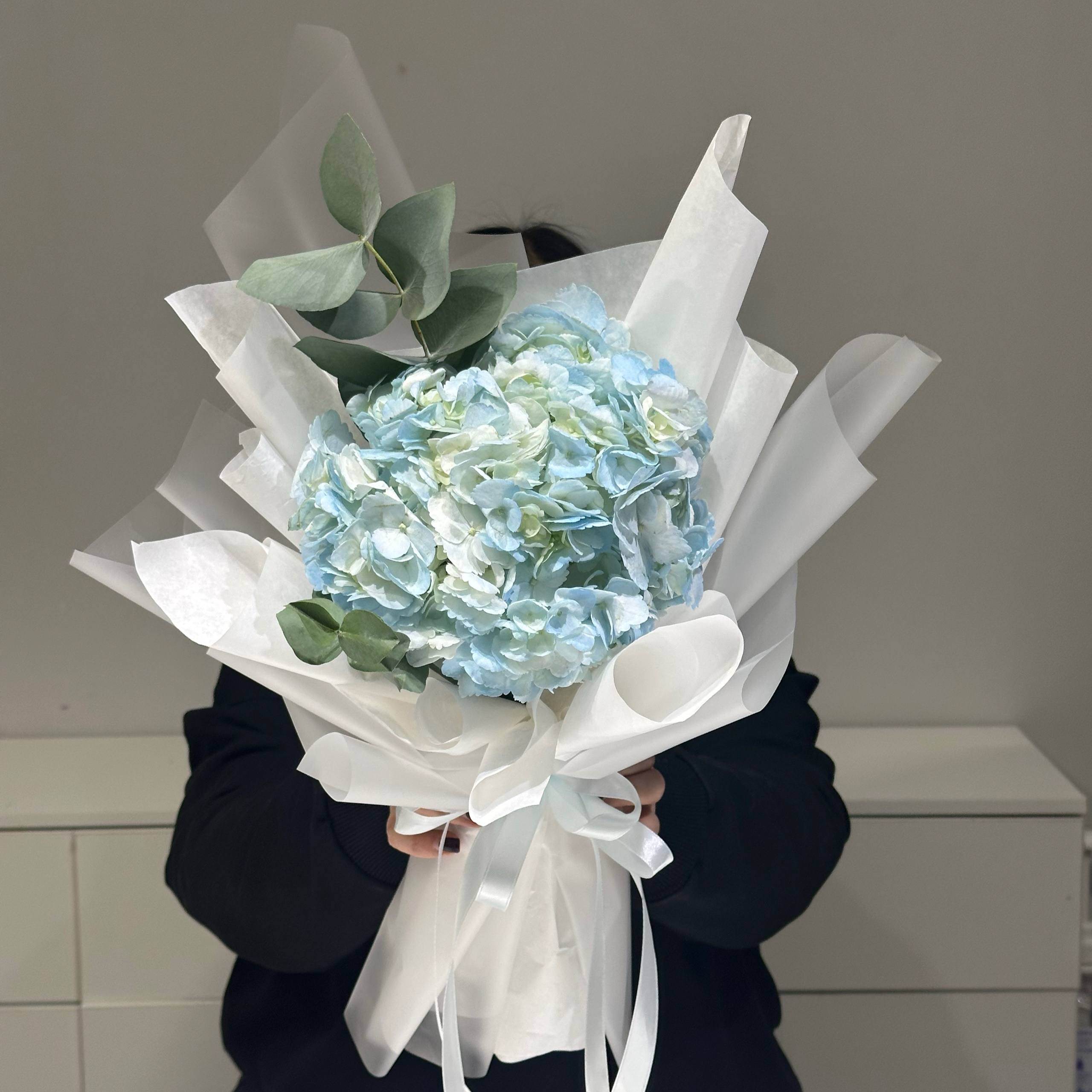 Изображение — img 5914 Img 5914