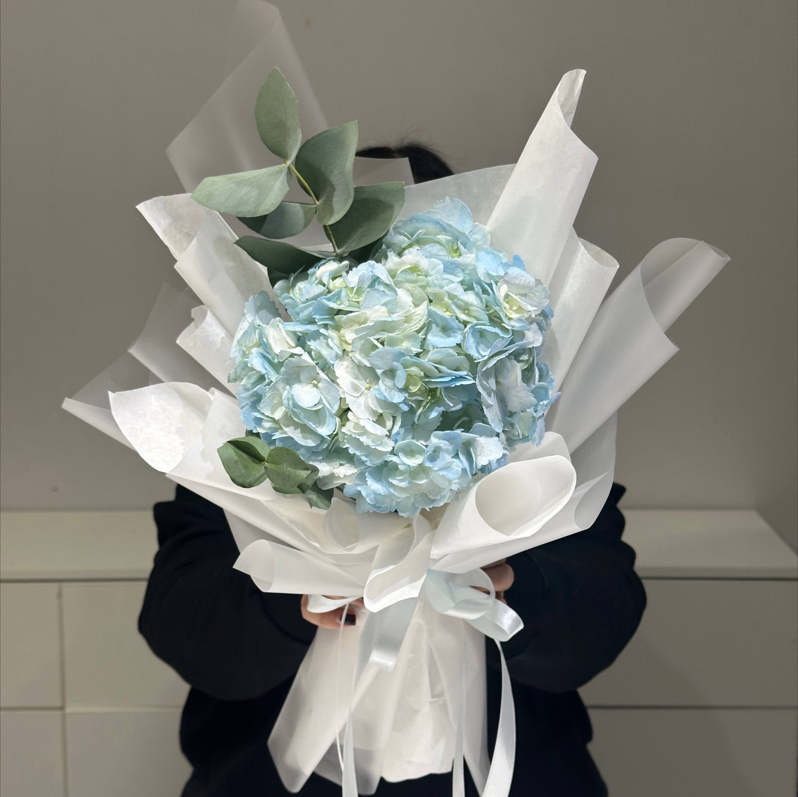 Изображение — img 5915 Img 5915