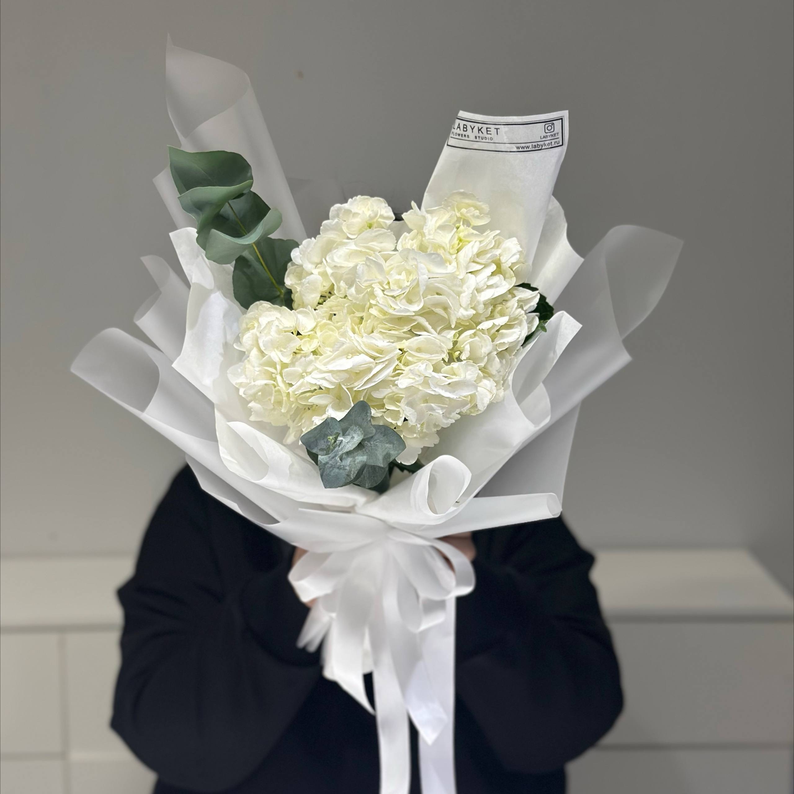 Изображение — img 5919 Img 5919